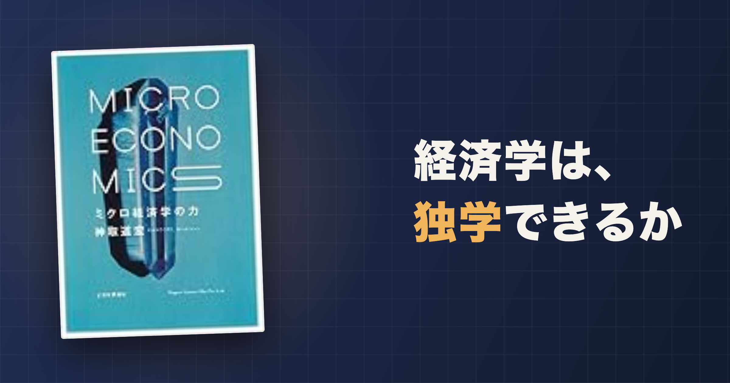 ミクロ経済学の力は独学できる?定番教科書のレベルと使い方